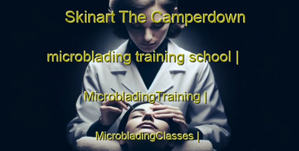 Skinart The Camperdown microblading training school | MicrobladingTraining | MicrobladingClasses | SkinartTraining-United States